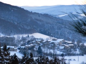 paysage hiver                  